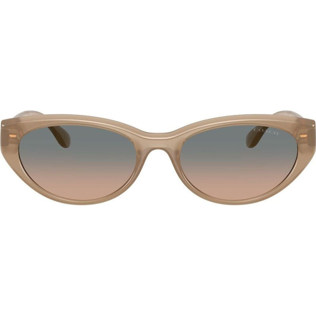 HC8456D, Milky Sesame/Green Sand Gradient Lenses