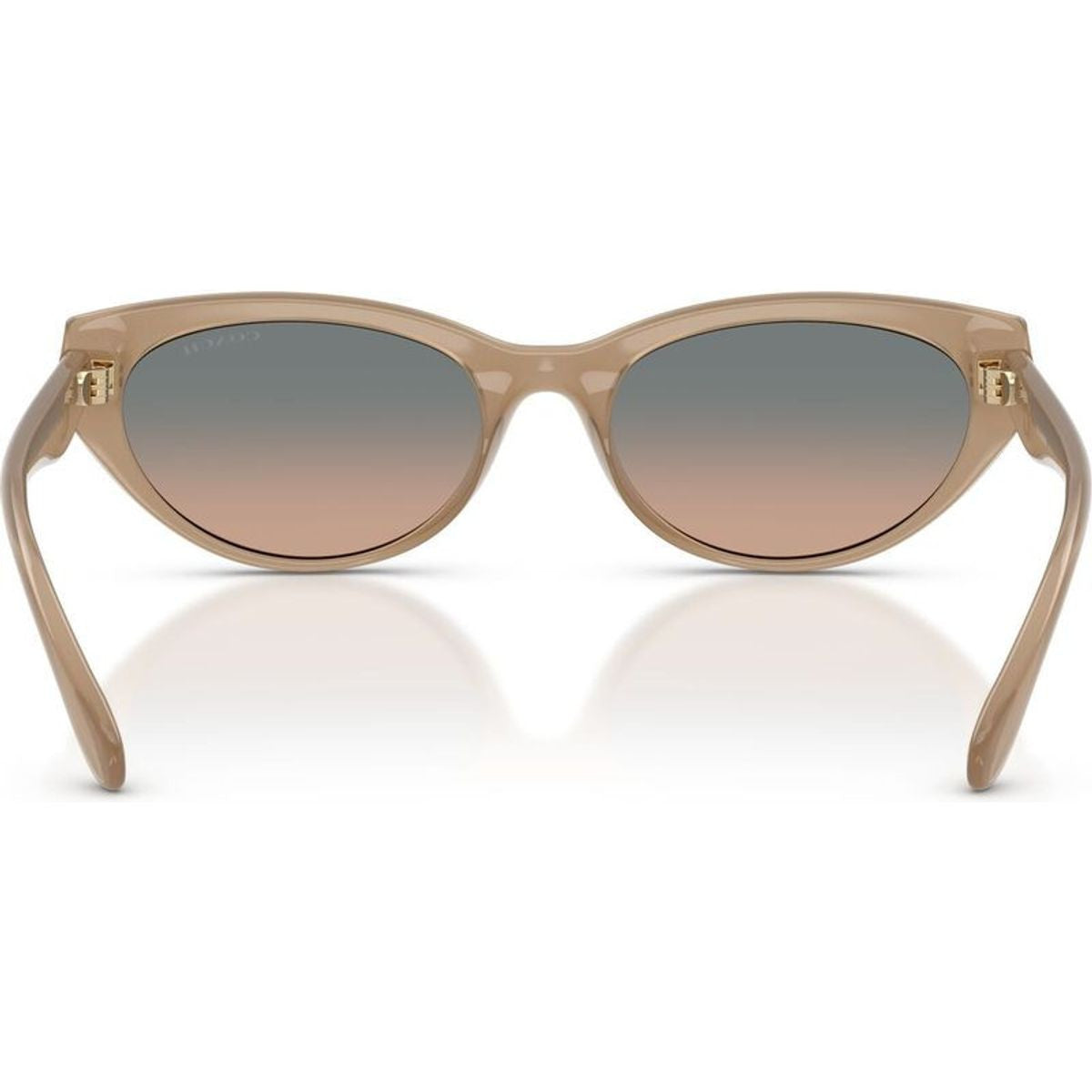 HC8456D, Milky Sesame/Green Sand Gradient Lenses
