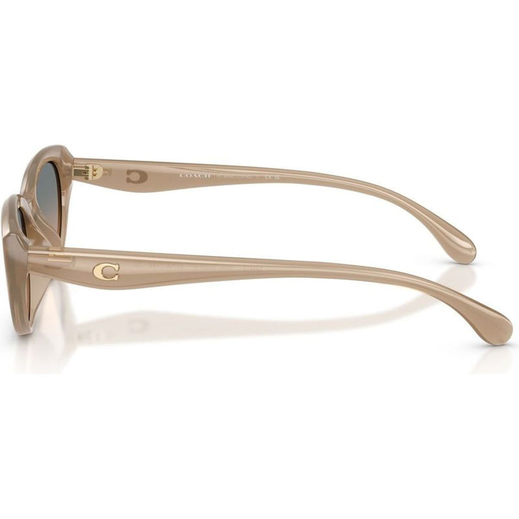 HC8456D, Milky Sesame/Green Sand Gradient Lenses