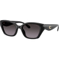 HC8434U, Black/Grey Gradient Polarised Lenses