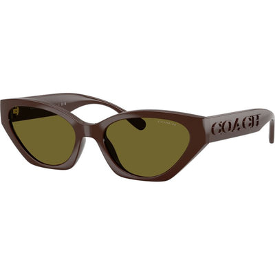 Coach HC8459U Pecan Olive Green Angle
