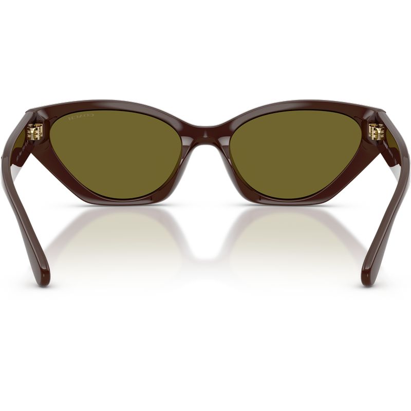Coach HC8459U Pecan Olive Green Inner
