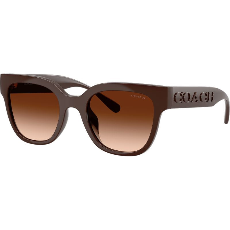 Coach HC8460U Pecan Brown Gradient Angle