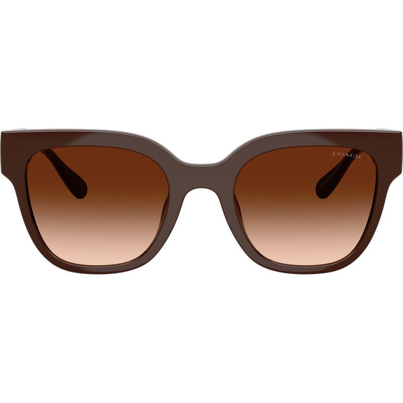 Coach HC8460U Pecan Brown Gradient Front