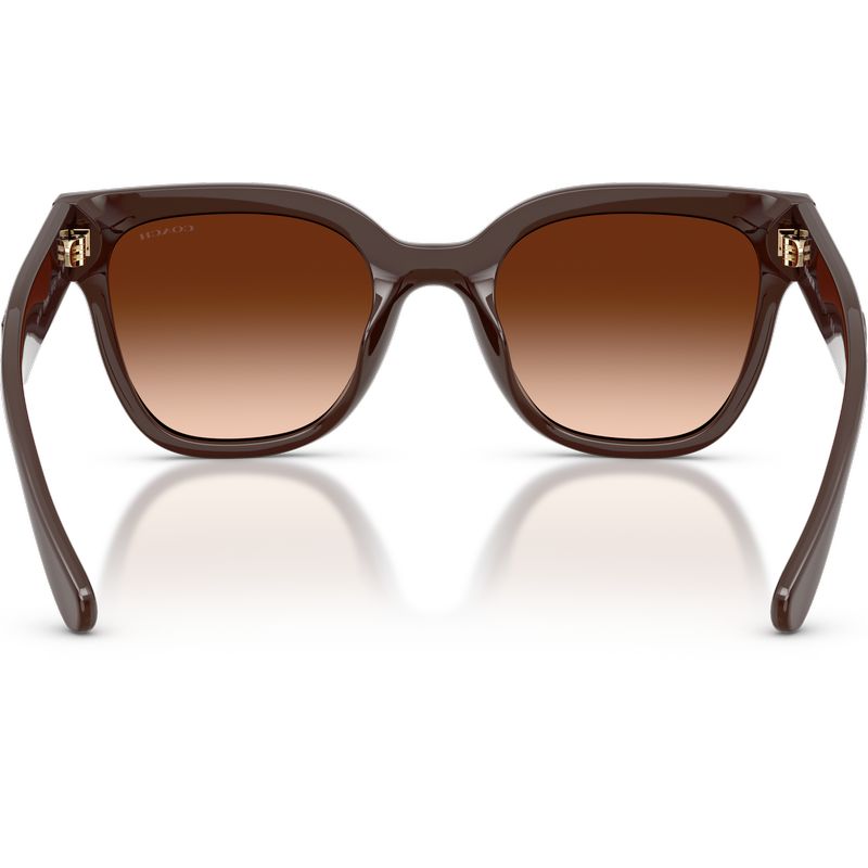 Coach HC8460U Pecan Brown Gradient Inner