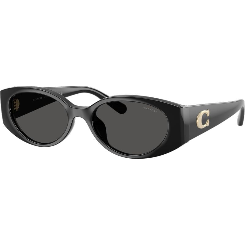 Coach HC8462U Black Grey Angle