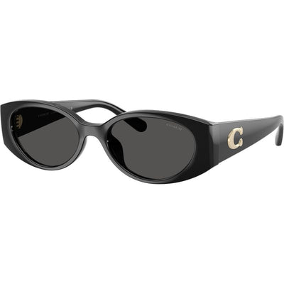 Coach HC8462U Black Grey Angle