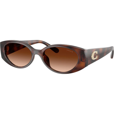Coach HC8462U Dark Tortoise Brown Gradient Angle