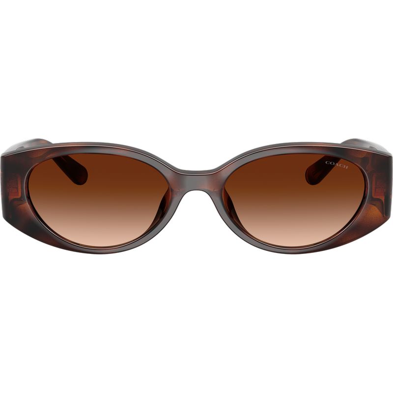 Coach HC8462U Dark Tortoise Brown Gradient Front