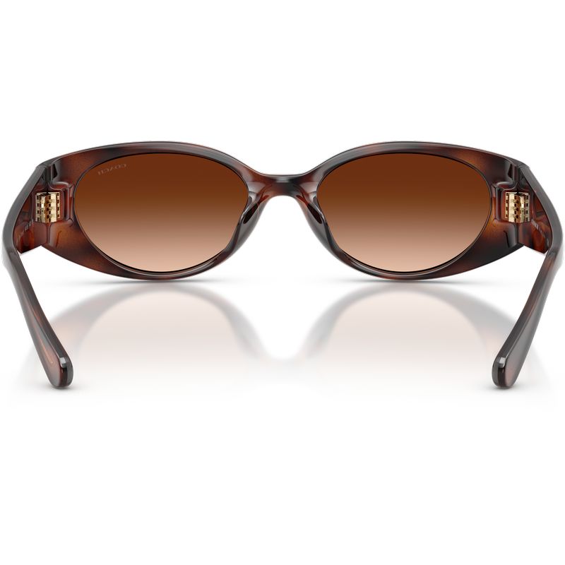 Coach HC8462U Dark Tortoise Brown Gradient Inner