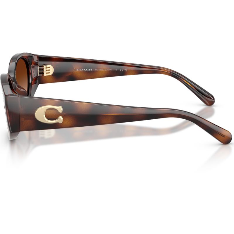 Coach HC8462U Dark Tortoise Brown Gradient Side