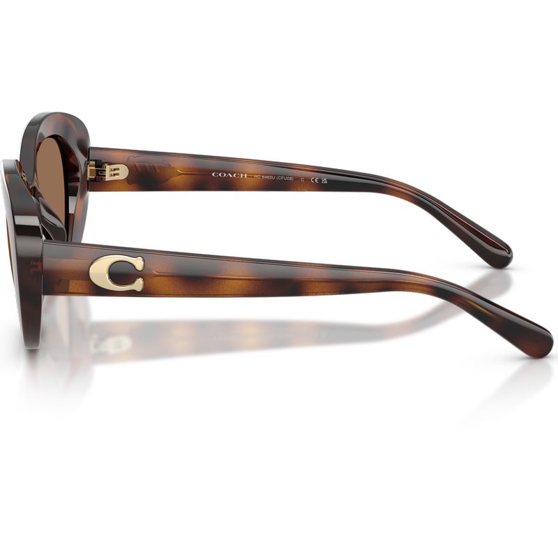 Coach HC8463U Dark Tortoise Brown Side