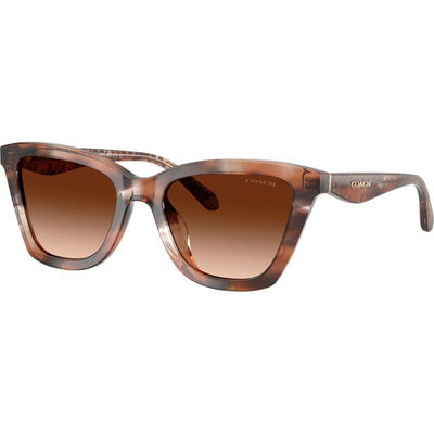 Coach HC8464U Pecan Watercolour Brown Gradient Angle