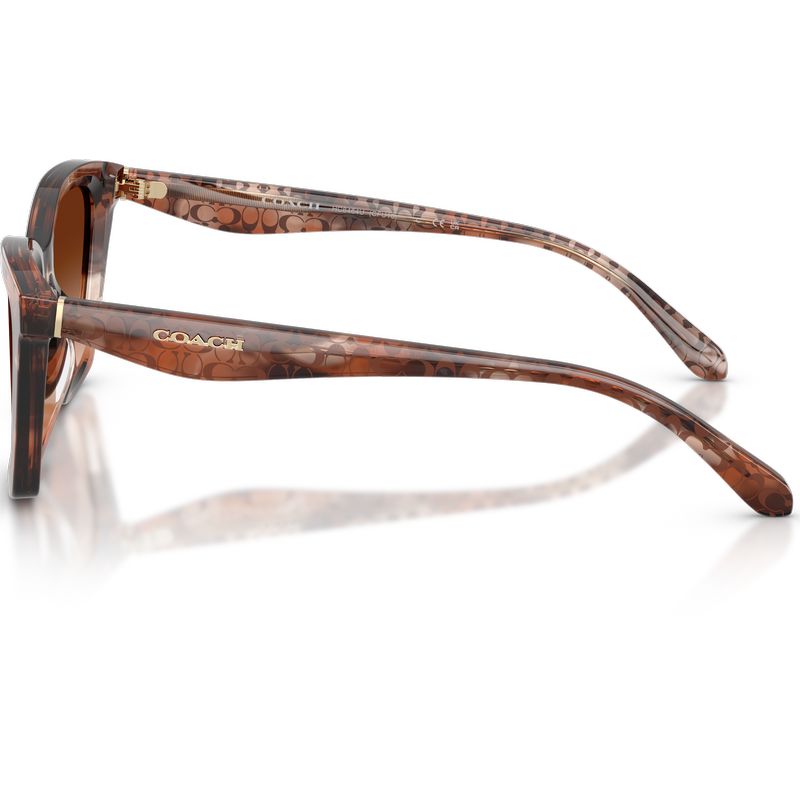 Coach HC8464U Pecan Watercolour Brown Gradient Side