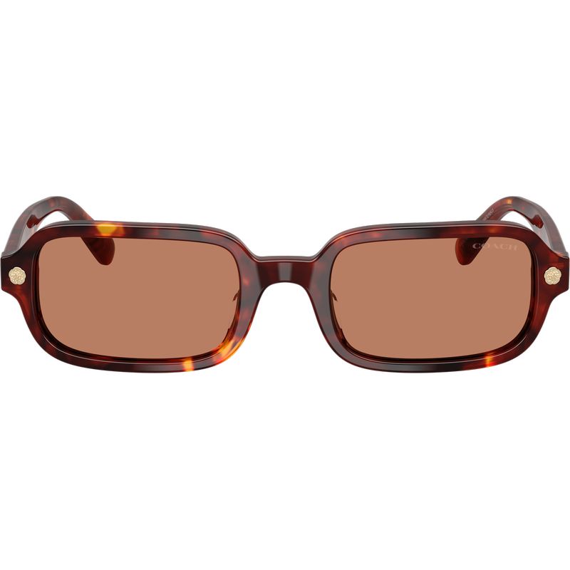 Coach HC8465U Walnut Tortoise Light Brown Front