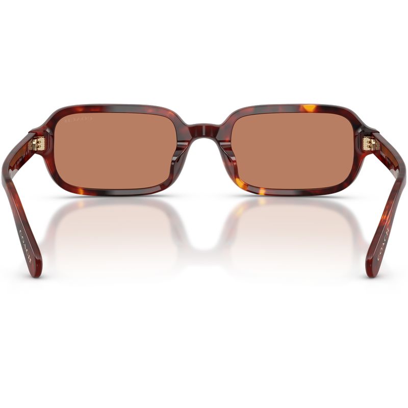 Coach HC8465U Walnut Tortoise Light Brown Inner