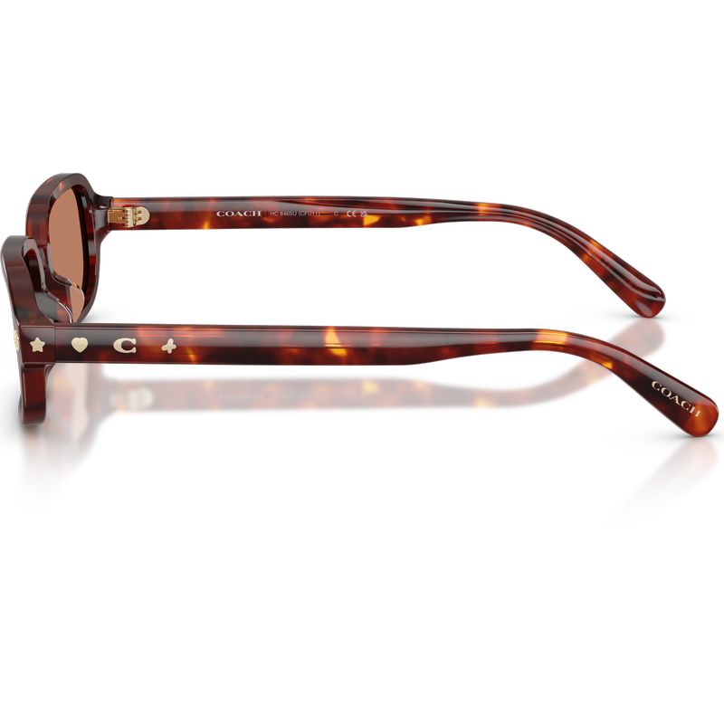 Coach HC8465U Walnut Tortoise Light Brown Side