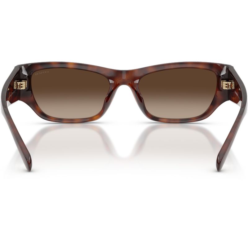 Coach HC8470D Dark Tortoise Brown Gradient Polarised Inner