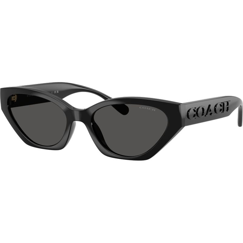 Coach HC9459U Black Grey Angle