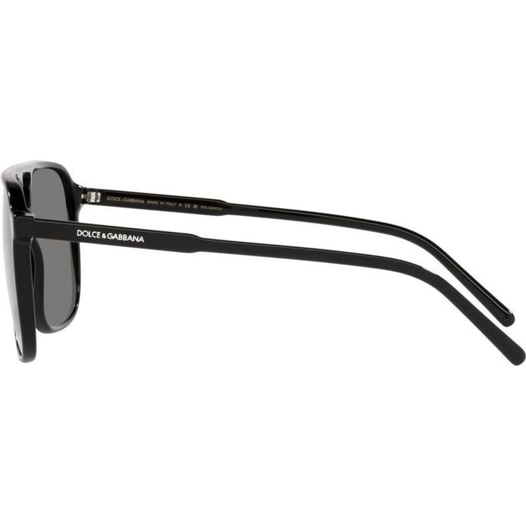 DG4423F, Black/Grey Polarised Lenses