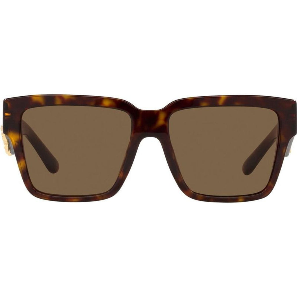 DG4436, Havana/Dark Brown Lenses