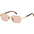 DB 1174/S, Gold/Nude Photochromic Lenses
