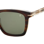 DB 7000/S, Brown Horn/Green Lenses