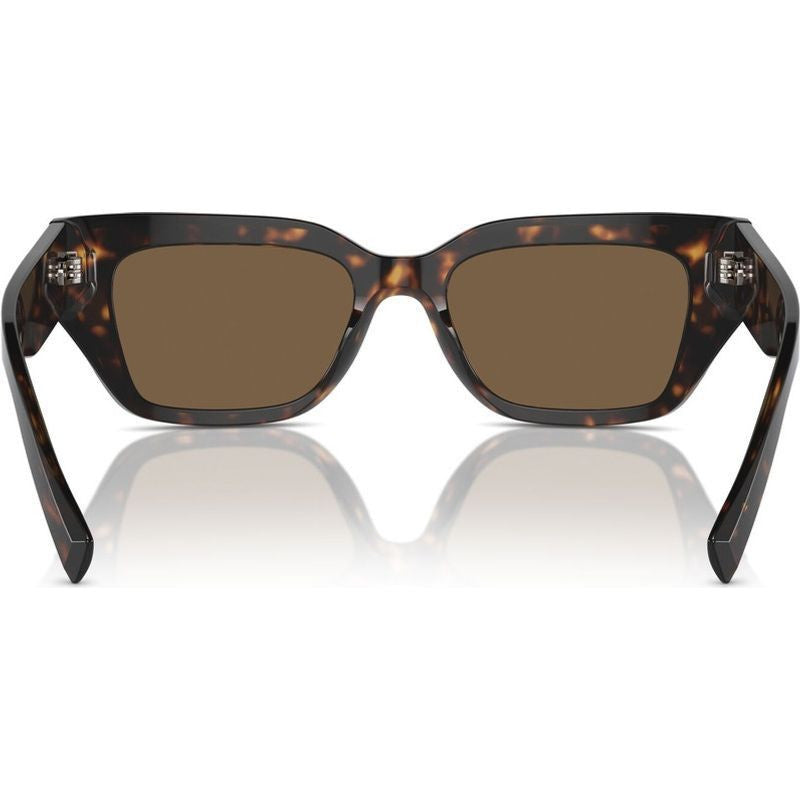 DG4462, Havana/Dark Brown Lenses