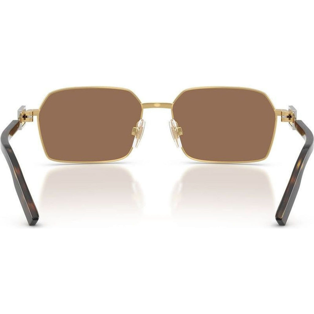 DG2316, Gold/Brown Lenses
