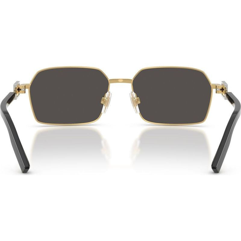 DG2316, Gold/Dark Grey Lenses