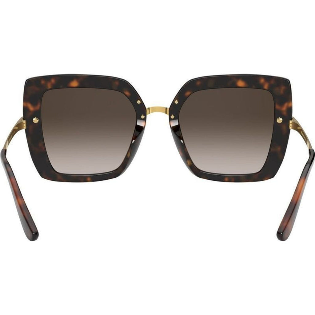 DG4373F, Havana and Pink Carretto/Brown Gradient Dark Brown Lenses