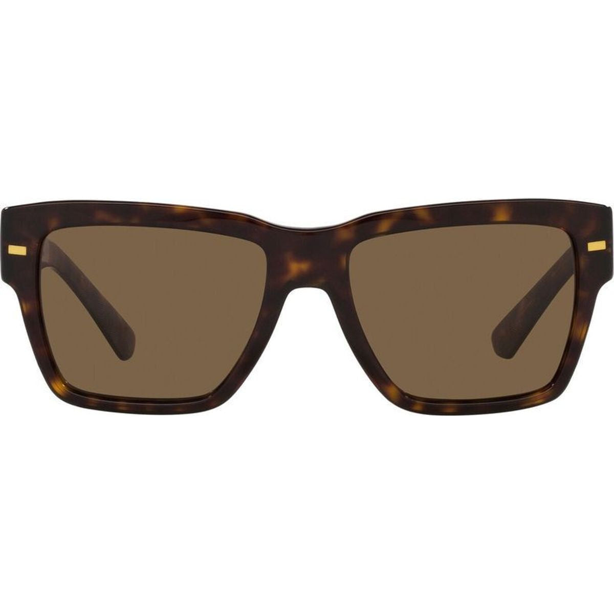DG4431, Havana/Dark Brown Lenses