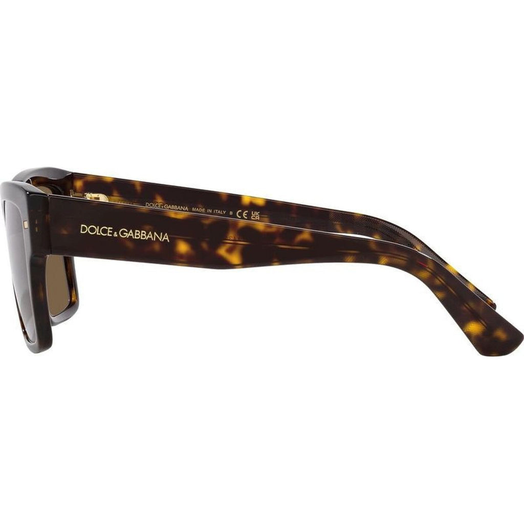 DG4431, Havana/Dark Brown Lenses