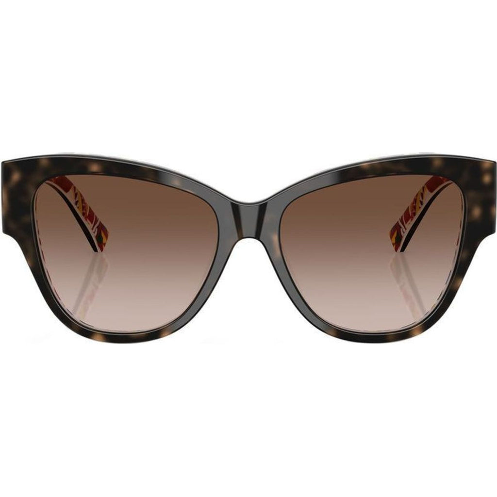 DG4449, Havana and White Barrow/Brown Gradient Lenses