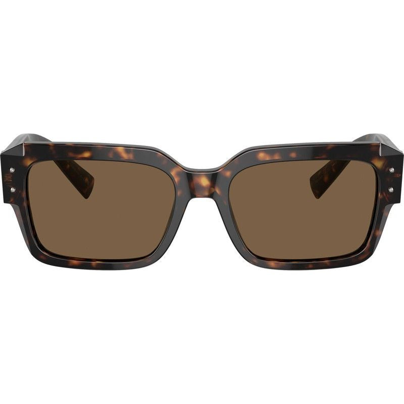 DG4460, Havana/Dark Brown Lenses