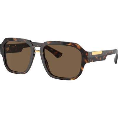 DG4464, Havana/Dark Brown Lenses
