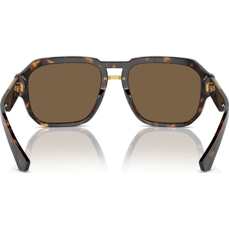 DG4464, Havana/Dark Brown Lenses