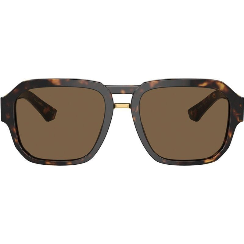 DG4464, Havana/Dark Brown Lenses