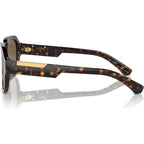 DG4464, Havana/Dark Brown Lenses