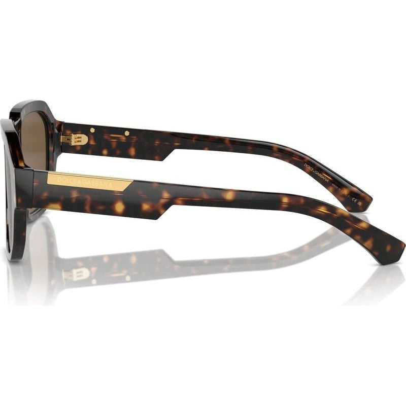 DG4464, Havana/Dark Brown Lenses