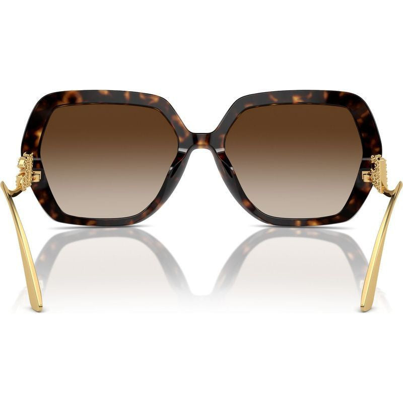 DG4468BF, Havana/Brown Gradient Lenses