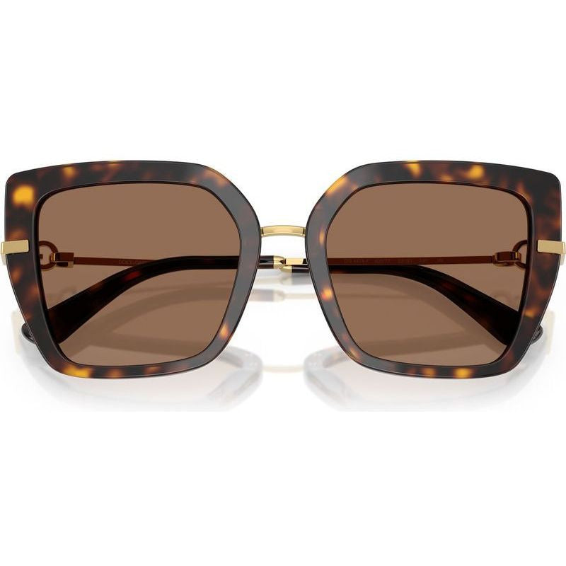 DG4474F, Havana/Dark Brown Lenses