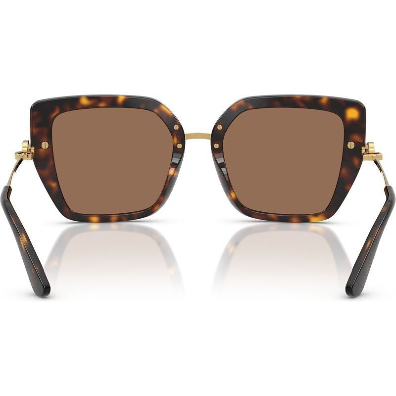 DG4474F, Havana/Dark Brown Lenses