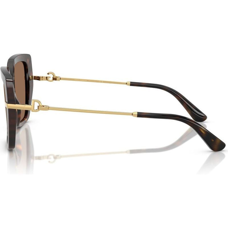 DG4474F, Havana/Dark Brown Lenses