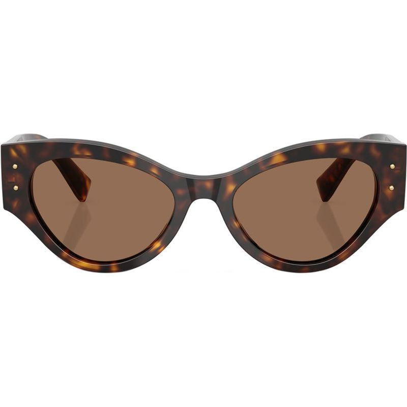 DG4480, Havana/Dark Brown Lenses