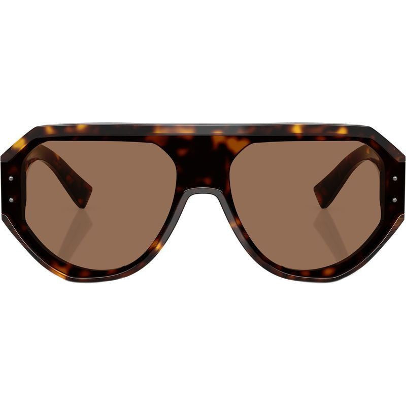 DG4481F, Havana/Dark Brown Lenses