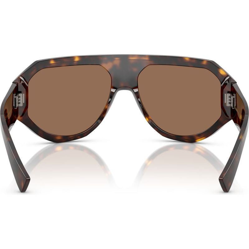 DG4481F, Havana/Dark Brown Lenses
