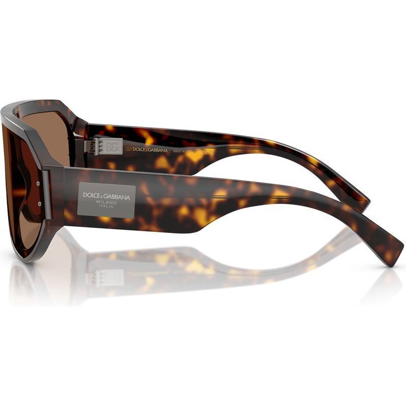DG4481F, Havana/Dark Brown Lenses