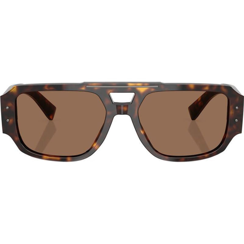 DG4482, Havana/Dark Brown Lenses