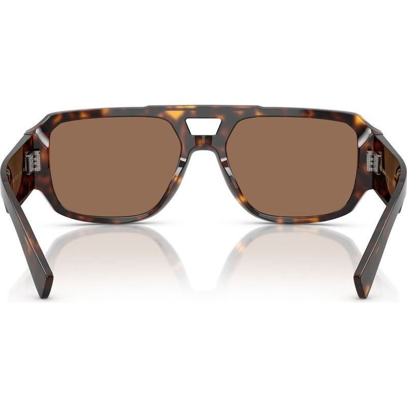 DG4482, Havana/Dark Brown Lenses